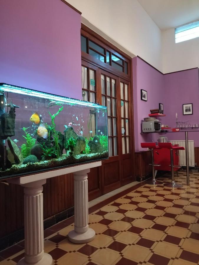 Cane B&B Montevideo Exterior photo